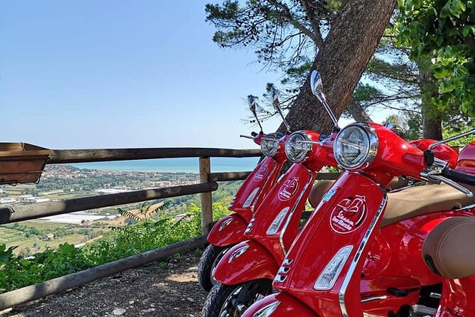 Vespa tour with written guide of Marche in Valdaso - Key Points