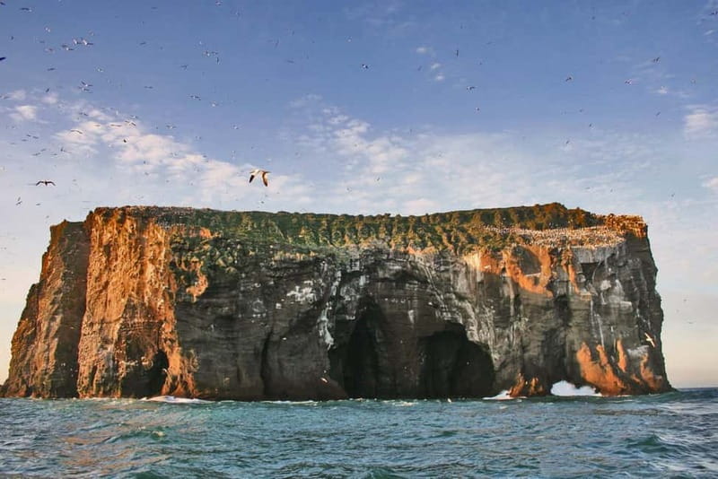 Vestmannaeyjar: 2 hour RIB boat Tour - Discover Vestmannaeyjar with a 2-Hour RIB Speedboat Adventure