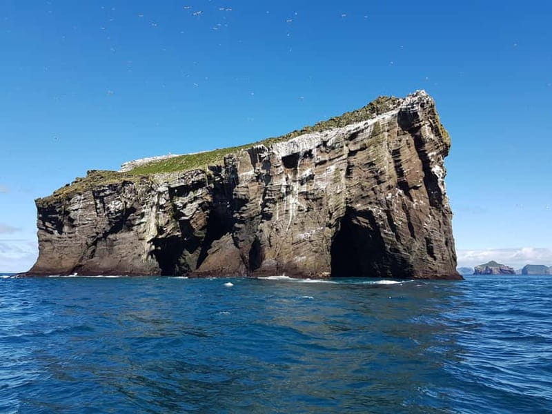 Vestmannaeyjar: 2 hour RIB boat Tour - Learning the Lore of the Westman Islands