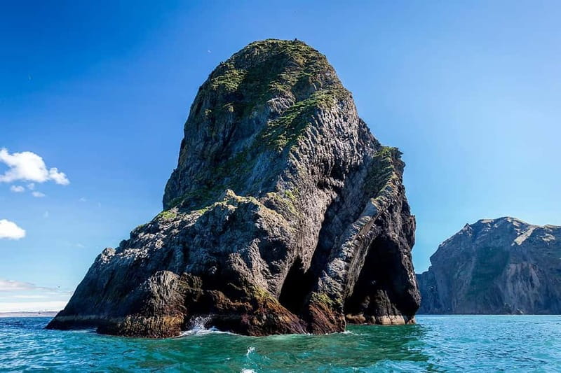 Vestmannaeyjar: One Hour Small Islands Trip - Discovering the Iconic Elephant Rock and Coastal Formations