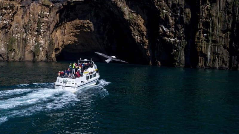 Vestmannaeyjar: Puffin, Island, and Volcano Boat Tour - Explore the Coastlines of Vestmannaeyjar with an Exciting Puffin and Volcano Boat Tour