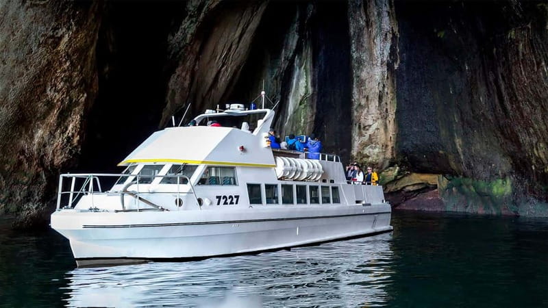 Vestmannaeyjar: Puffin, Island, and Volcano Boat Tour - Visiting the Loneliest House in the World on Elliðaey
