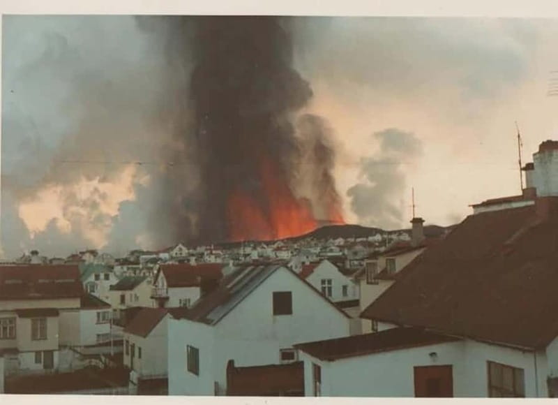 Vestmannaeyjar: Puffin, Island, and Volcano Boat Tour - Who Will Find This Tour Most Enjoyable?