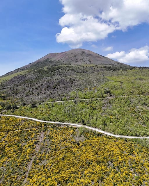 Vesuvio Bike Tour: Summit Ride and Entrance Ticket - Key Points