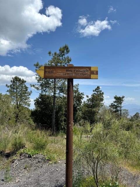 Vesuvio Bike Tour: Summit Ride and Entrance Ticket - Descending and Returning to Vesuvio Drive