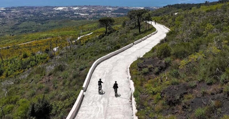 Vesuvio Bike Tour: Summit Ride and Entrance Ticket - Value and Whats Included in the Price