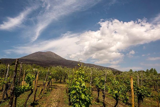Vesuvio Gran cono + Wine Tasting & Lunch + Transfer from Naples - Explore the Volcanic Slopes of Mount Vesuvius with Wine and Lunch