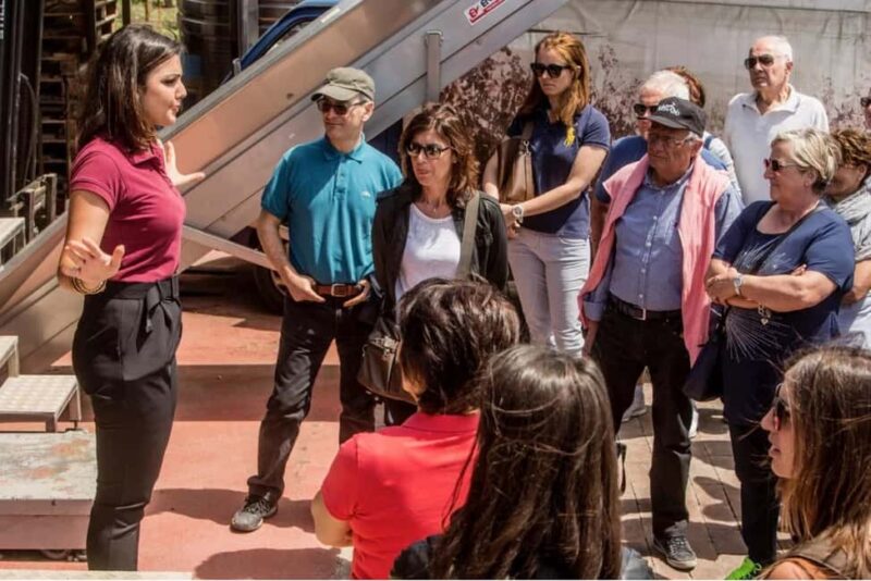 Vesuvio National Park: Wine Tasting & Tour with Light Lunch - Tasting Three Distinct Wines Paired with Neapolitan Dishes