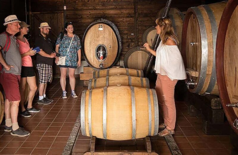 Vesuvio National Park: Wine Tasting & Tour with Light Lunch - Visiting the Lava-Stone Cellar and Vinification Process