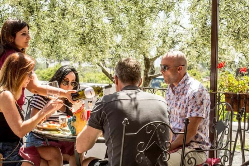 Vesuvio National Park: Wine Tasting & Tour with Light Lunch - The Overall Experience and Who Will Enjoy It Most