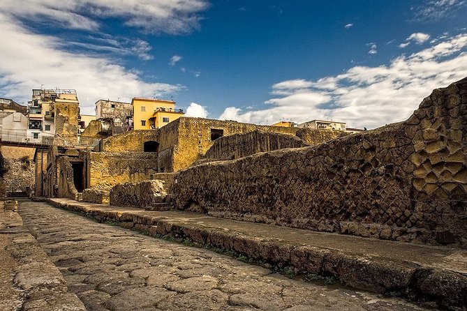 Vesuvius and Herculaneum Day Trip from Naples with skip the line - Pacing, Physical Requirements, and Flexibility