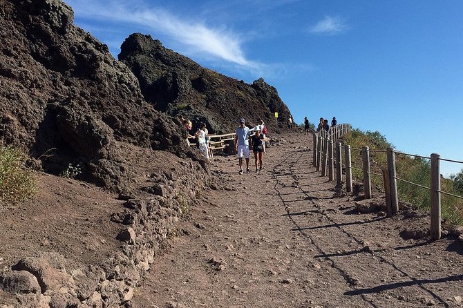 Vesuvius and Herculaneum Day Trip from Naples with skip the line - Limitations and Critical Feedback