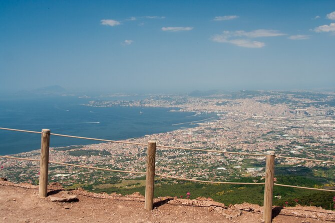 Vesuvius and Herculaneum Day Trip from Naples with skip the line - Who Will Most Benefit from This Tour
