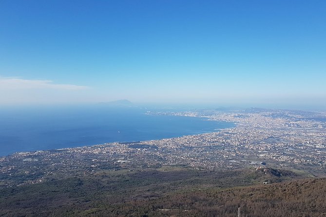 Vesuvius: Half Day Trip from Naples - Starting from the Historic Center of Naples