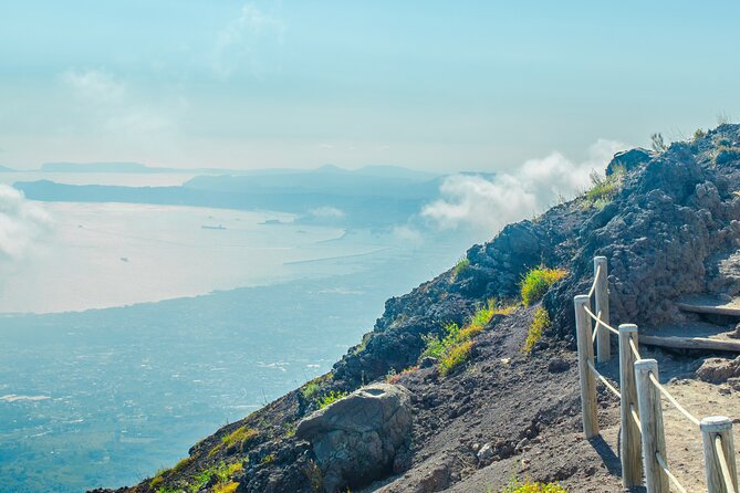 Vesuvius & Herculaneum Small Group Tour from Naples - Who Will Appreciate This Tour Most?
