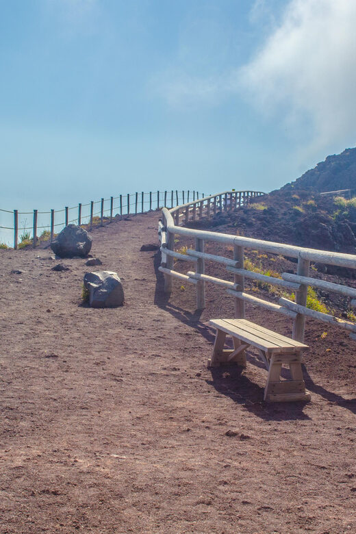 Vesuvius National Park Skip-The-Line Ticket and Audio Guide - Exploring Vesuvius National Park with a Skip-the-Line Ticket