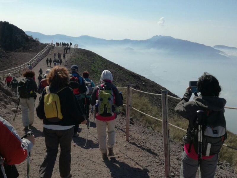 Vesuvius Park Skip-the-Line Ticket + support - Key Points