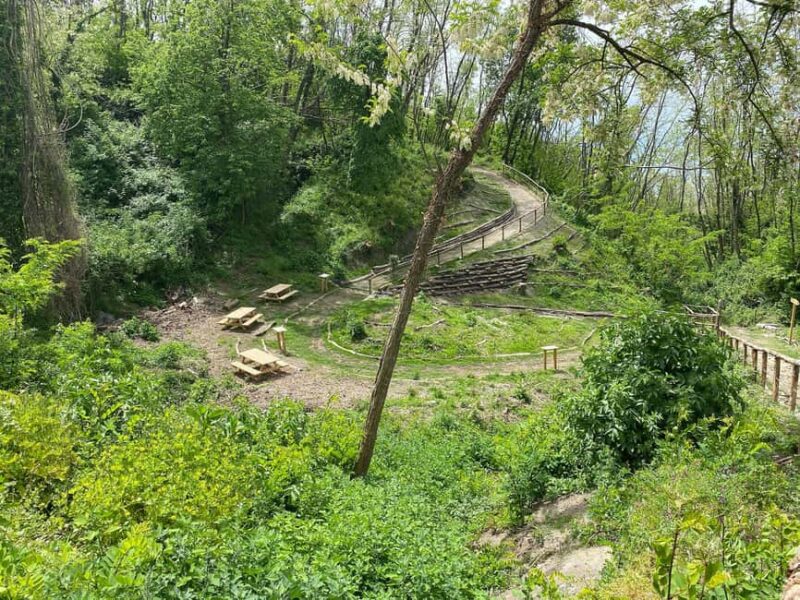 Vesuvius: River of Lava - Excursion & Tasting with an Official Guide - Key Points