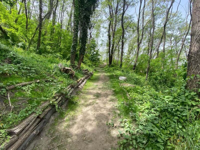 Vesuvius: River of Lava - Excursion & Tasting with an Official Guide - Biodiversity and Myths of Vesuvius Explained by the Guides