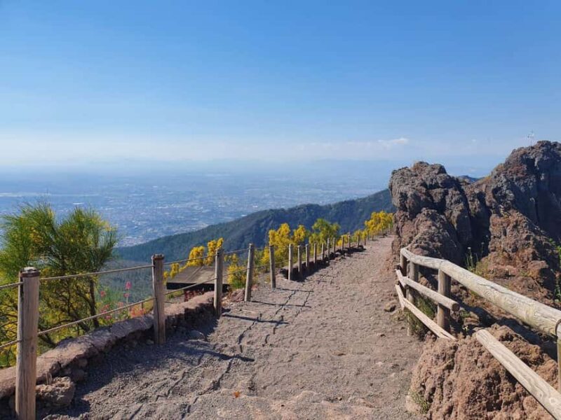 Vesuvius Skip-the-Line Ticket and Multilingual Audio Guide - Frequently Asked Questions