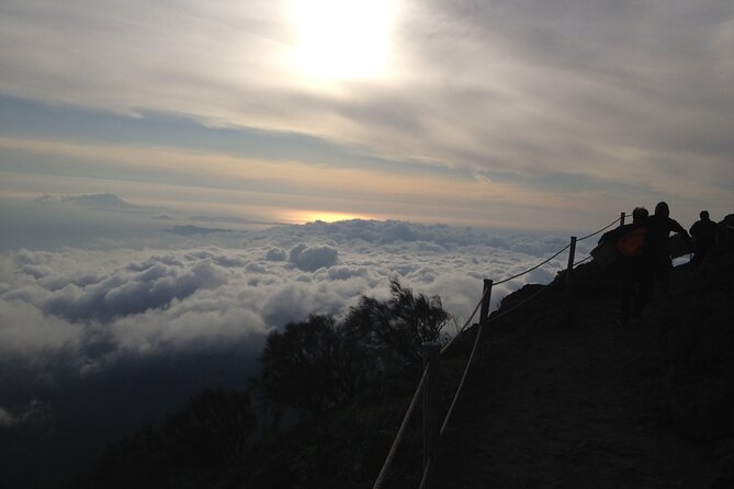 Vesuvius, V.I.P. the only Tour with Volcanological Guide - Key Points
