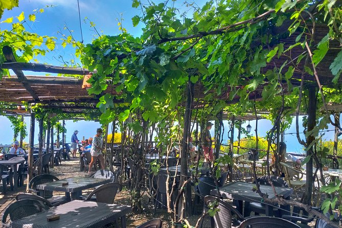 Vesuvius & Vineyard select from Sorrento - Vineyard Visit and Lacryma Christi Wine Tasting