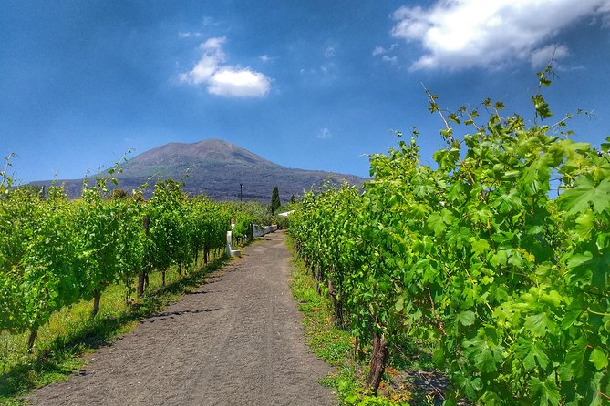 Vesuvius & Vineyard select from Sorrento - Potential Drawbacks: Traffic and Limited Reach at the Vineyard
