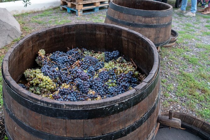 Vesuvius Wine Tasting Experience with Lunch Included - Regional Lunch with Fresh Local Products