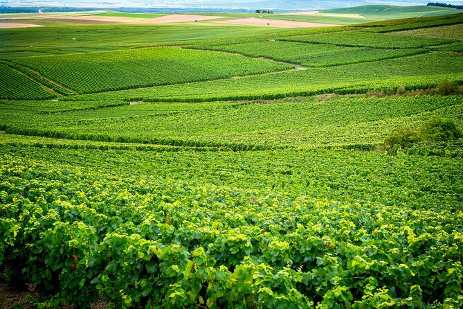 Veuve Clicquot Tour From Paris - Key Points