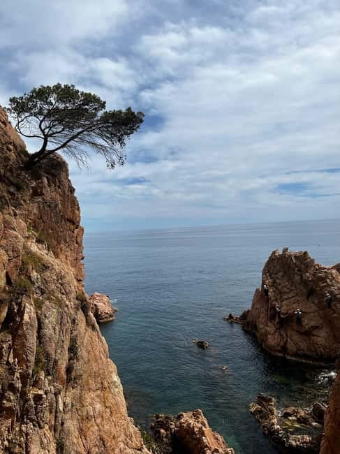 Via Ferrata Adventure in Costa Brava + Transport - Key Points