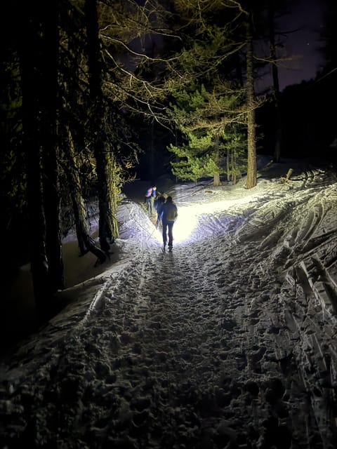 Vialattea: Night Snowshoeing under the Stars - Exploring the Snowy Forests and Cippo Vinçon Woodland Walk