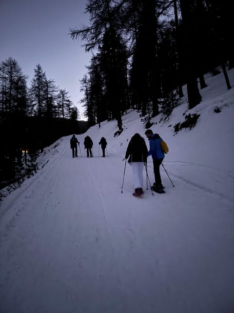Vialattea: Night Snowshoeing under the Stars - Flexibility and Booking Policies