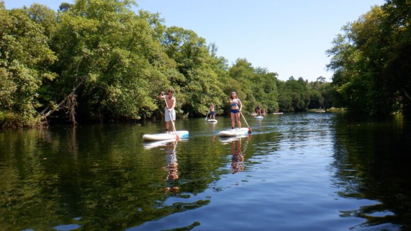 Viana do Castelo: Vez River SUP with Transfer Options - Accessibility and Practical Tips