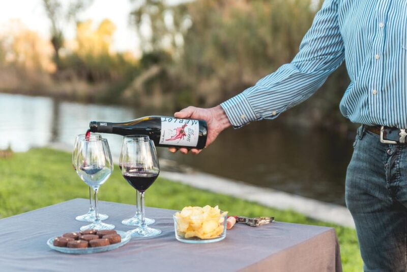 Viareggio: Marshes Electric Boat Tour with Wine Tasting - Exploring the Padule Marshes on an Electric Boat