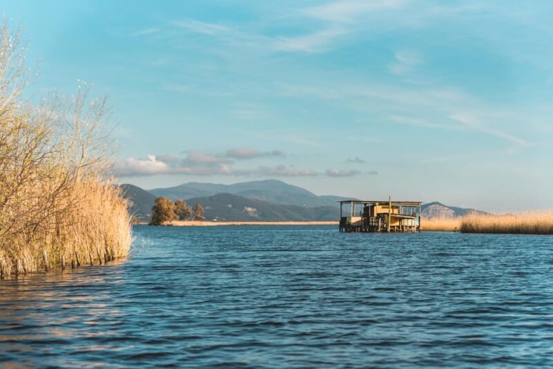 Viareggio: Marshes Electric Boat Tour with Wine Tasting - Meeting Point and Practical Details