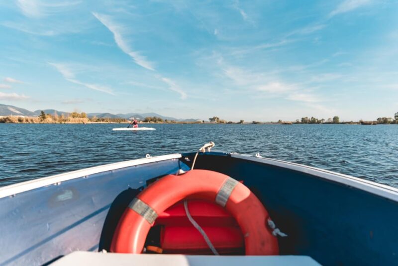 Viareggio: Marshes Electric Boat Tour with Wine Tasting - The Sustainable Appeal: Eco-Friendly Transportation