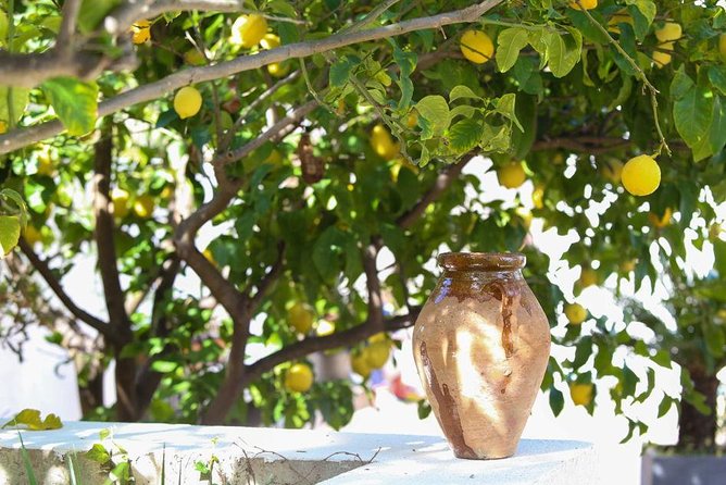 Viator Exclusive: Local Cooking Class & Dinner with View of Nice - Practical Details and Booking Flexibility