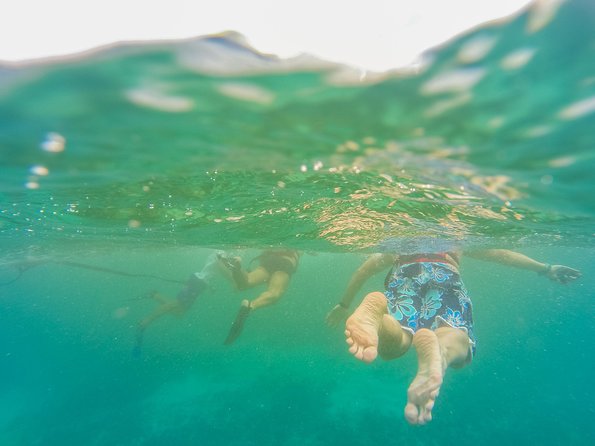 Viator Exclusive: Tulum Ruins, Reef Snorkeling, Cenote and Caves - Practical Tips and Important Fees