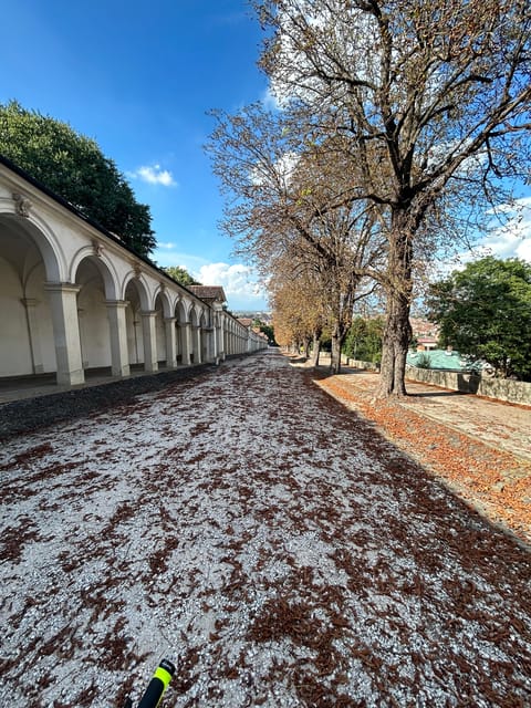 Vicenza: discovering the city of Palladio by e-bike - The Quality of E-Bikes and Equipment