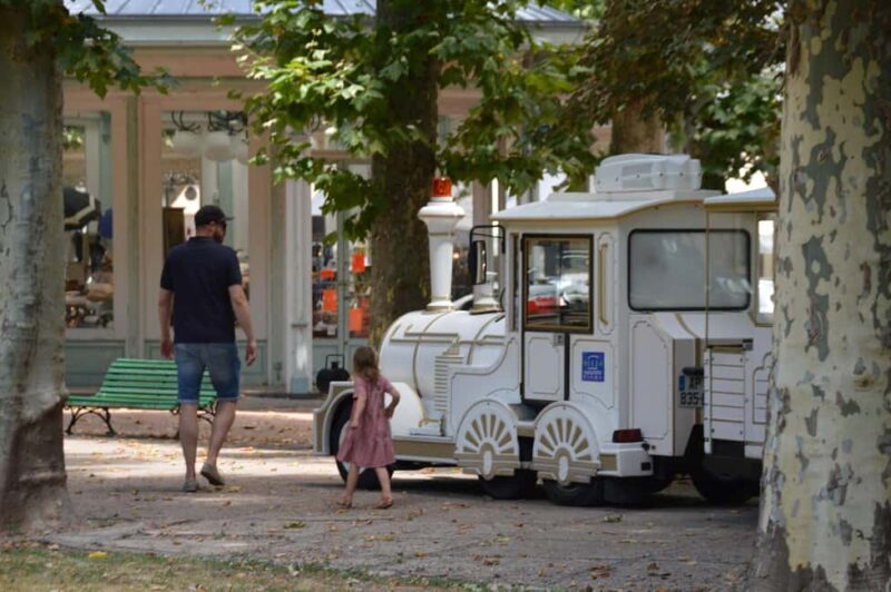 Vichy: Express Walk with a Local - Discovering the Opéra de Vichy and Other Cultural Sites