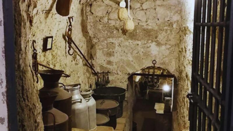 Vico Equense: Provolone del Monaco DOP Cheese Tasting - Vico Equense as the Starting Point for Italian Cheese Heritage