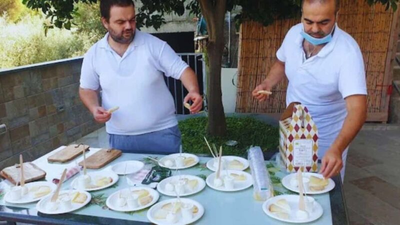 Vico Equense: Provolone del Monaco DOP Cheese Tasting - Tasting Provolone del Monaco DOP Paired with Campanian Wine