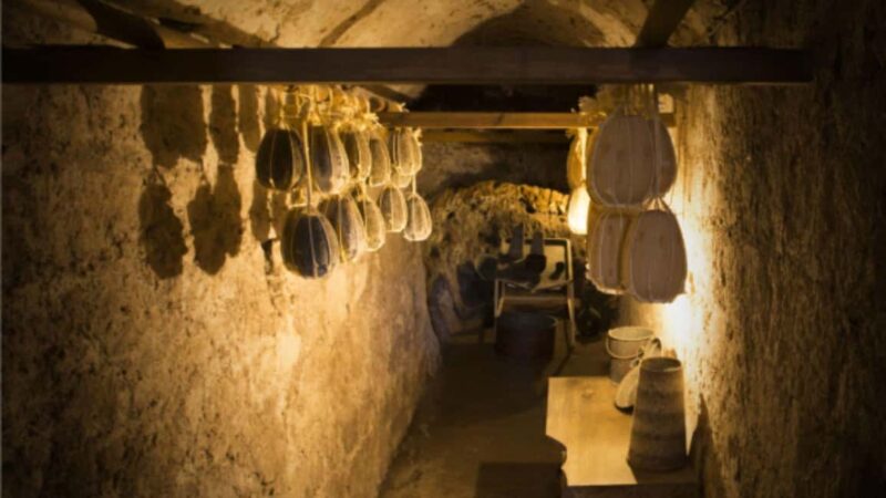 Vico Equense: Provolone del Monaco DOP Cheese Tasting - Accessibility and Considerations