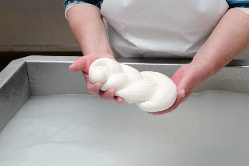 Vico Equense: Tour in the dairy "Mozzarella Experience" - Value and Booking Flexibility