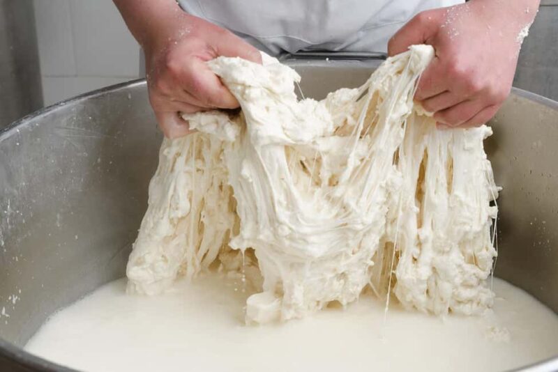 Vico Equense: Tour in the dairy "Mozzarella Experience" - Accessibility and Practical Tips