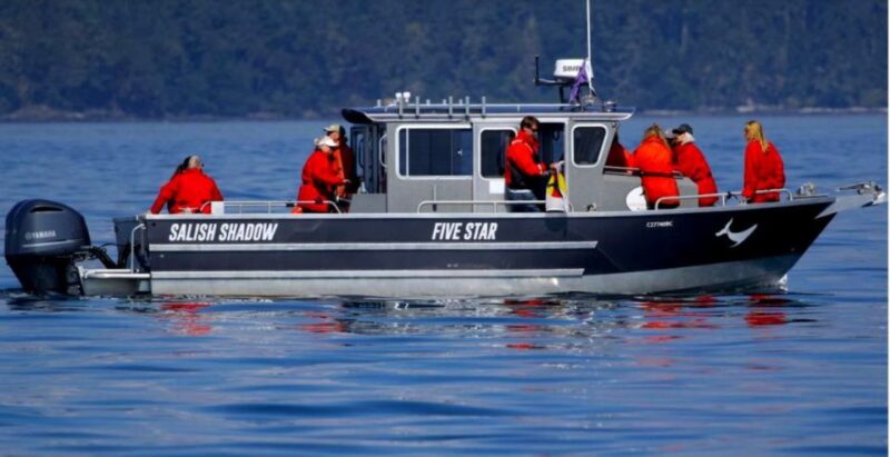 Victoria, BC: 3-Hour Ultimate Whale & Marine Wildlife Tour - Practical Aspects: Group Size, Safety, and Comfort