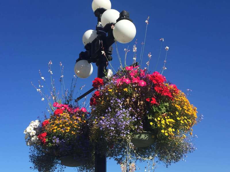 Victoria, BC: City Tour and Butchart Gardens Combo Tour - Frequently Asked Questions