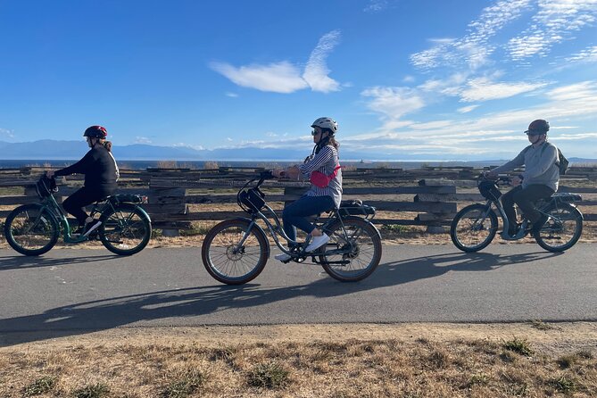 Victoria BC - Coast & Castle Tour by E-Bike - Visiting Historic Landmarks: Craigdarroch Castle and Government House