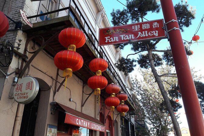 Victoria City Express Tour  2hr Private (Day or Night, 14pax) - Viewing Government House and Craigdarroch Castle from Outside