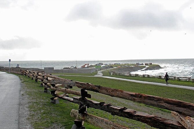 Victoria City Highlights: Chinatown, Craigdarroch Castle (1-4pax) - Government House and Legislative Assembly Views